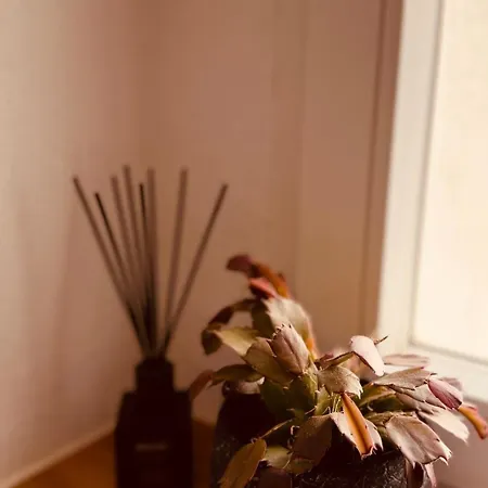 Cozy Corner - 公寓