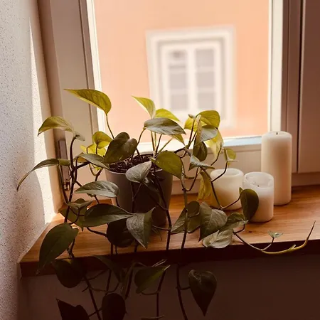 Cozy Corner - 帕绍