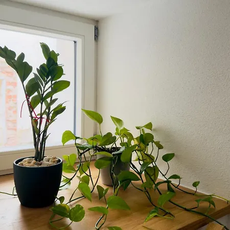 Appartamento Cozy Corner -